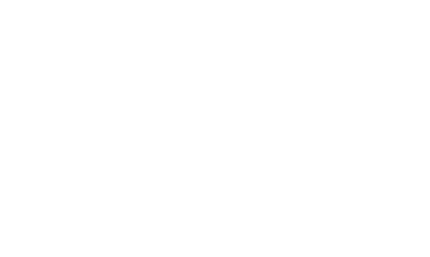 Dynamic Interference logo